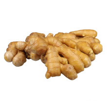 Varieties of mature ginger wholesale